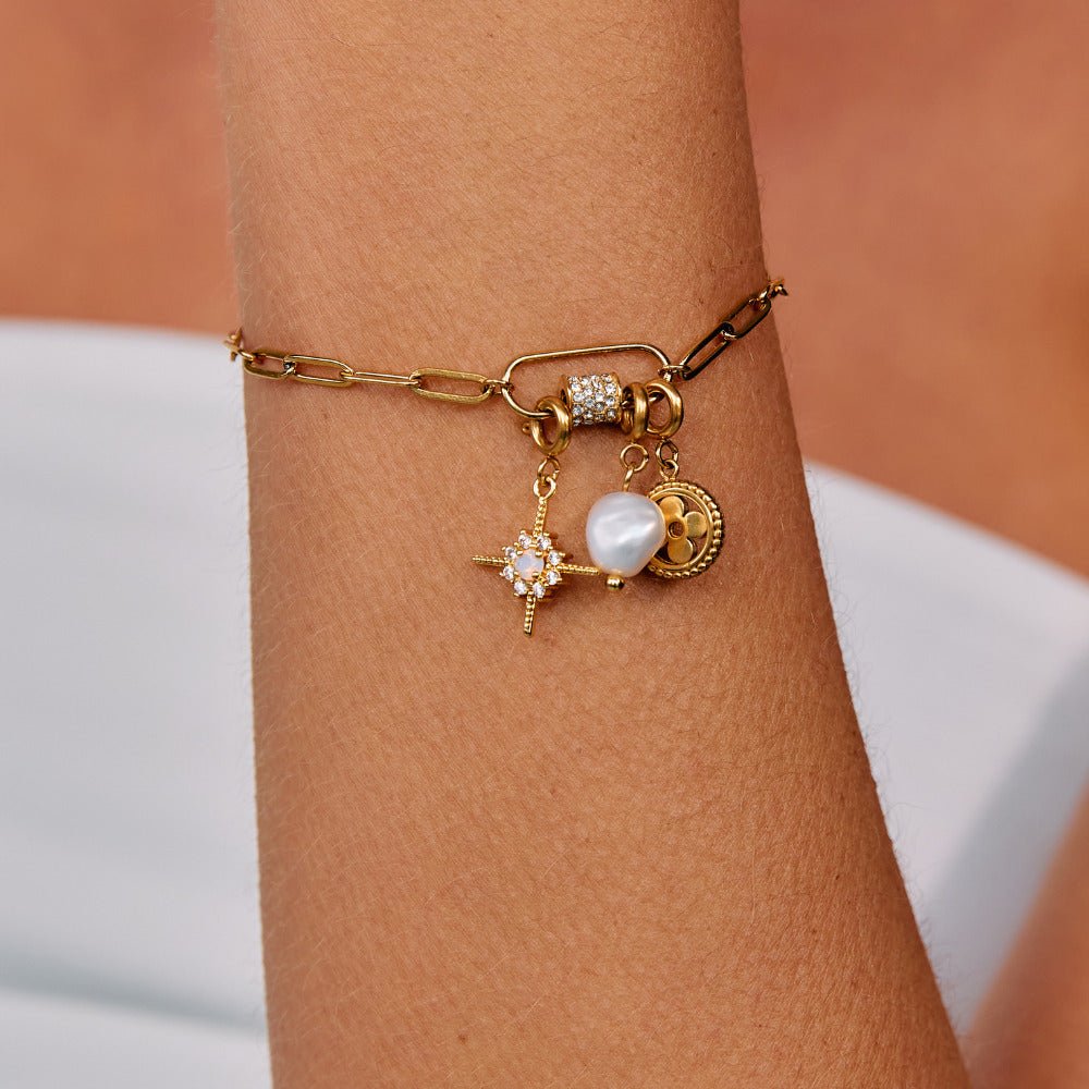 Gouden Kristallen North Star Bedel