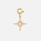 Gouden Kristallen North Star Bedel