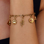 Gouden Snake Bedel