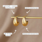 Mini Curved Gouden Rondes