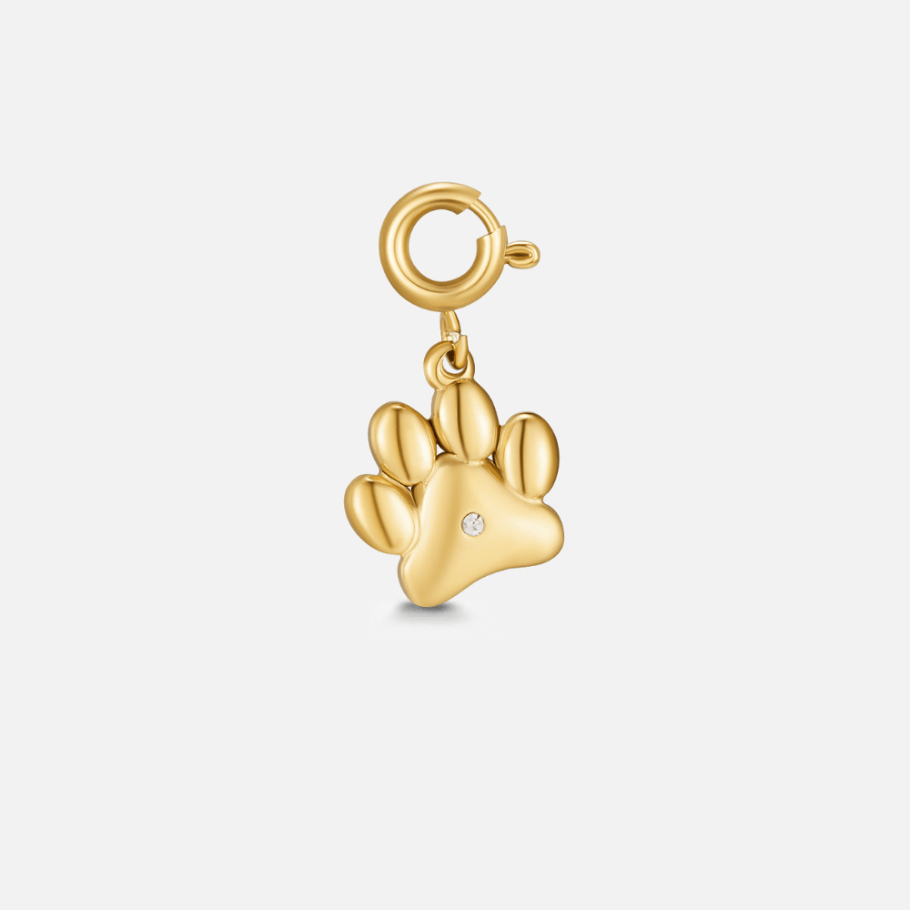 Paw Of Love Charm Hoofdafbeelding