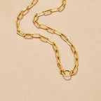 Pia Schakel Charm Ketting