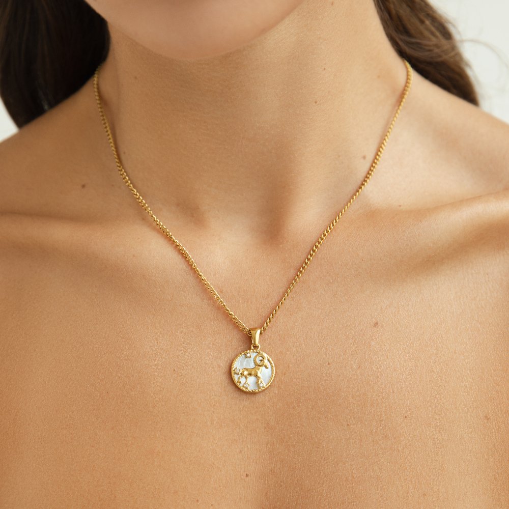 White Shell Zodiac Coin Ketting Secundaire afbeelding