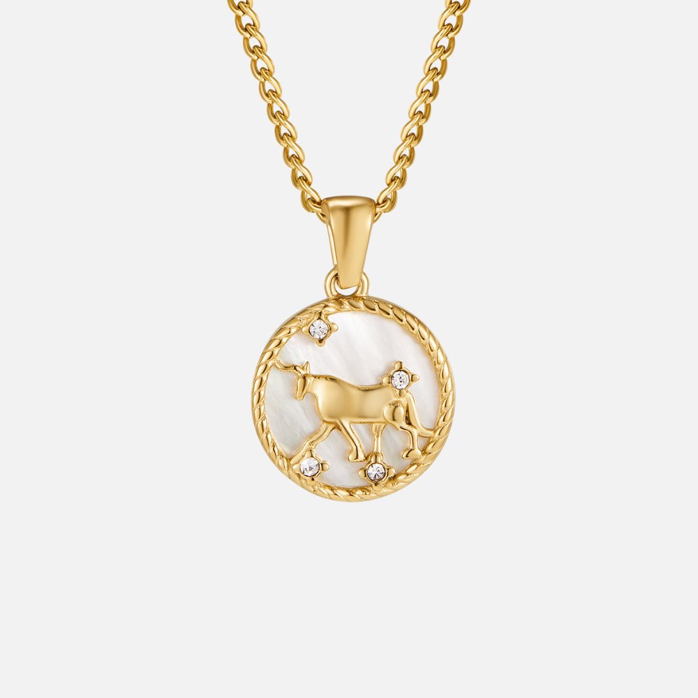 Witte Shell Zodiac Coin Ketting