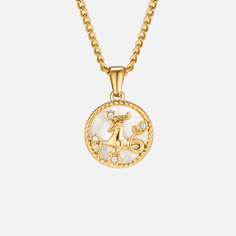 Witte Shell Zodiac Coin Ketting