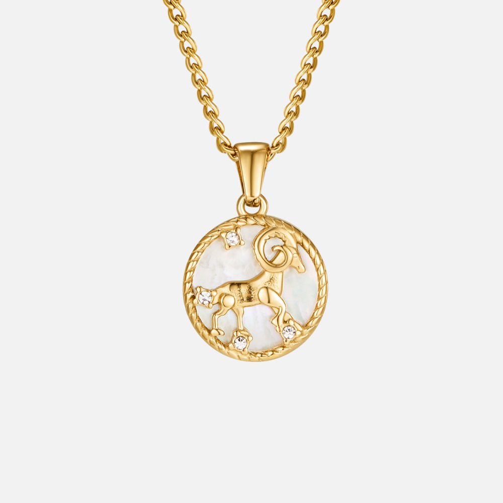 Witte Shell Zodiac Coin Ketting