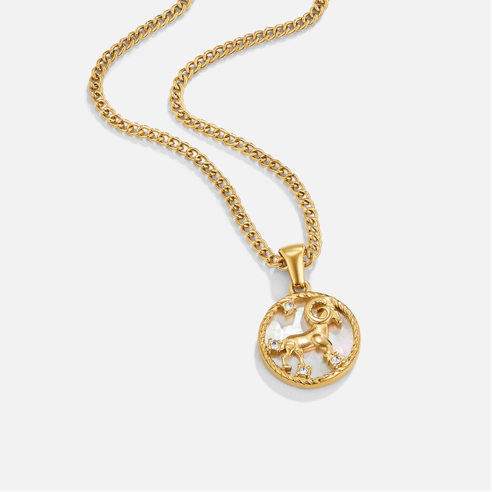 White Shell Zodiac Coin Ketting Hoofdafbeelding