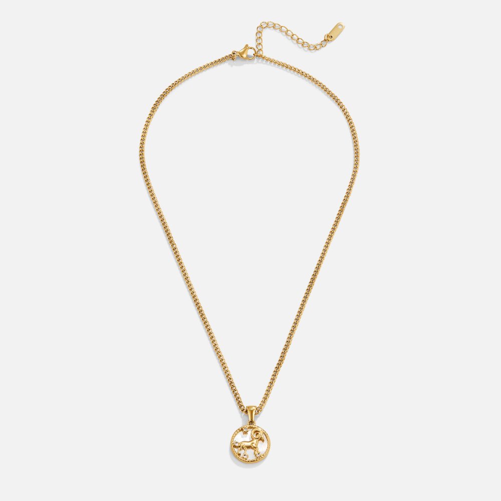 Witte Shell Zodiac Coin Ketting